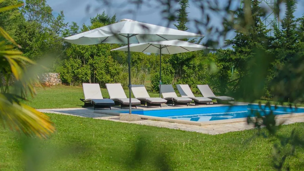Luxury Villa Negricani, Marcana Divsici